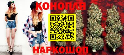 сатива Изобильный