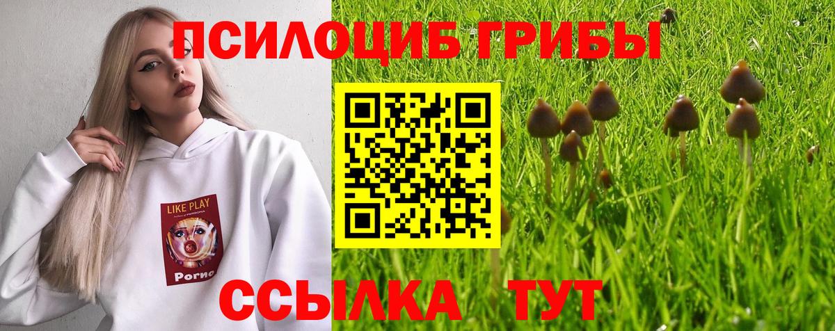 Кувандык  Псилоцибиновые грибы ЛСД  Вход с VPN 